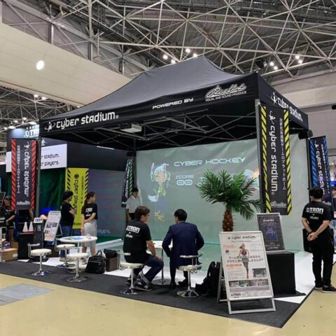Faltpavillon 6x4